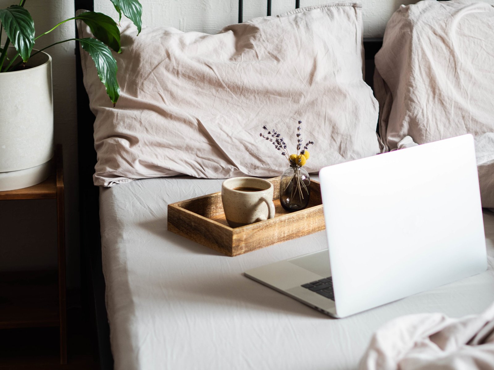 Commentaire Airbnb
